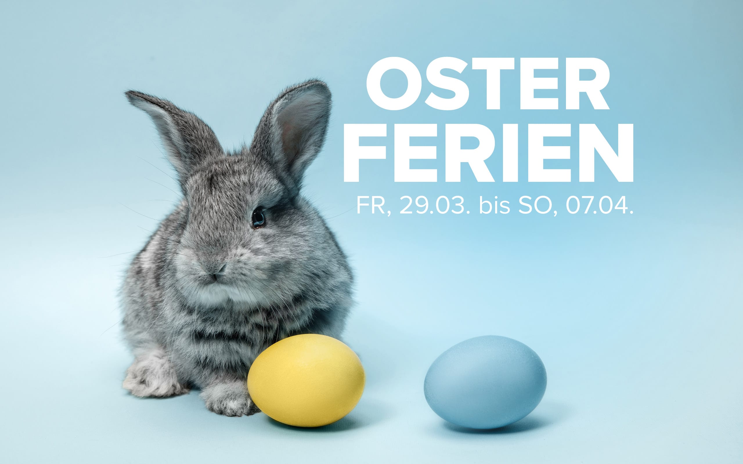 2024_oster_ferien_tsg_website Ladies Dance Club