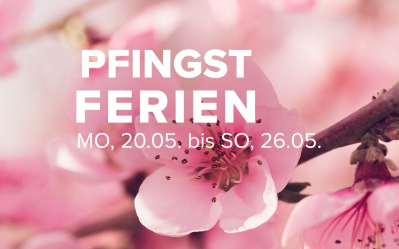 Tanzen trifft Fitness im Ladies Dance Club Freiburg